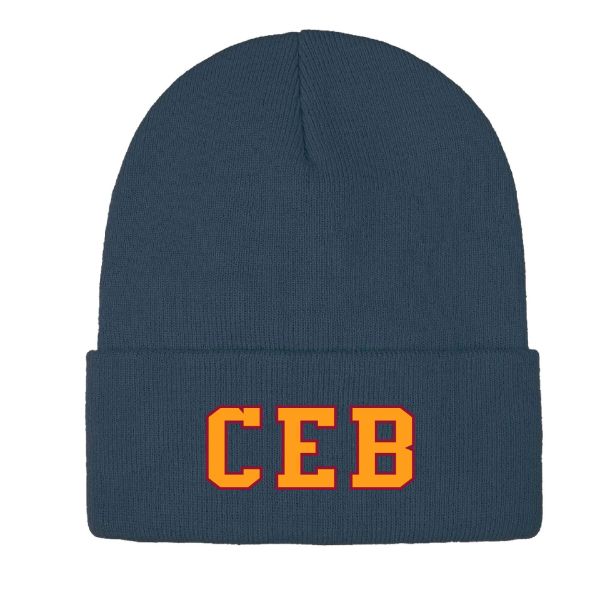 Image de Tuque à rebord H08000 